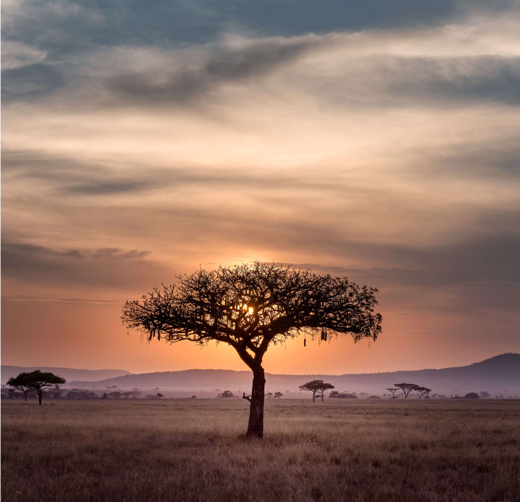 Tanzania
